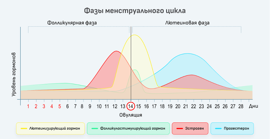 Лютеинизирующий гормон (ЛГ)